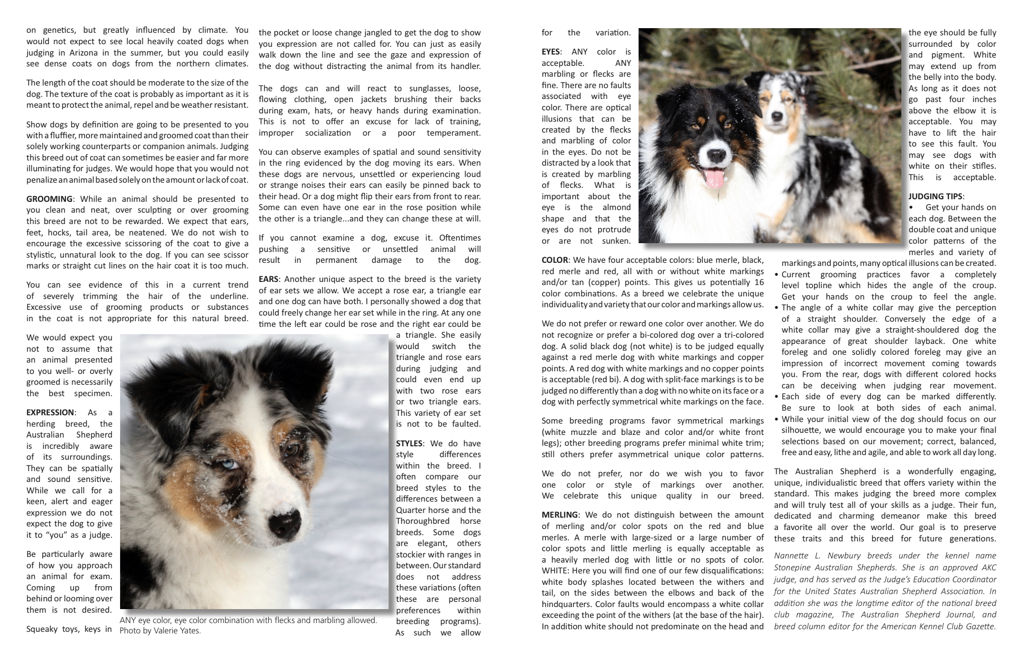 Australian Shepherd: Dog Facts, Breed Information and Care Tips - Dogslife.  Dog Breeds Magazine